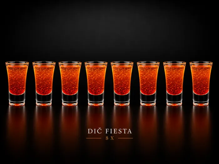36. DIČ FIESTA